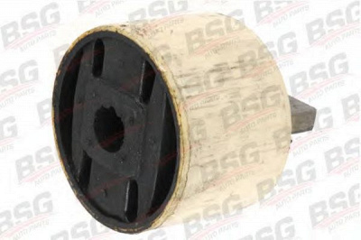 BSG bsg30700164 -