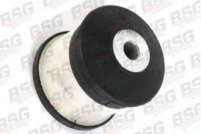 BSG bsg30700165 -