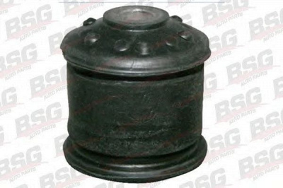 BSG bsg30700170 -  
