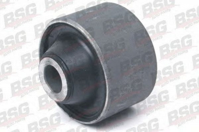 BSG bsg30700251 -
