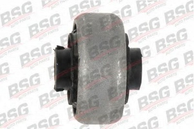 BSG bsg30700252 -