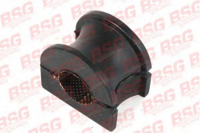 BSG bsg30700253 -