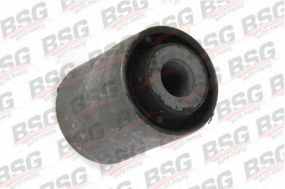BSG bsg30700260 -