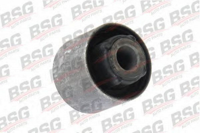 BSG bsg30700261 -