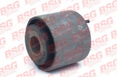 BSG bsg30700262 -