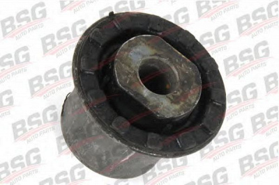 BSG bsg30700267 -