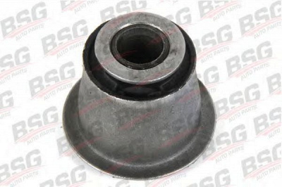BSG bsg30700268 -