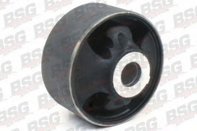 BSG bsg30700301 -