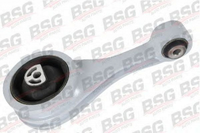 BSG bsg30700307 -