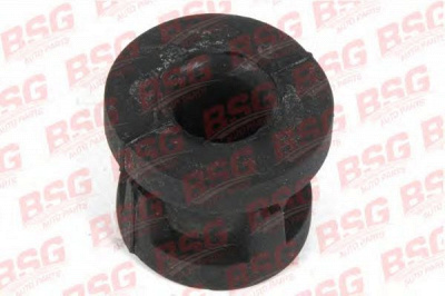 BSG bsg30700313 -
