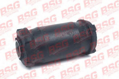 BSG bsg30700353 -
