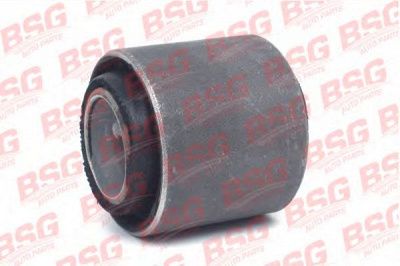 BSG bsg30700360 -