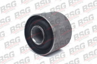 BSG bsg30700361 -