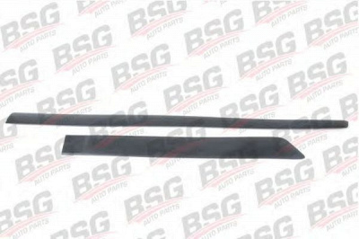 BSG bsg30705043 -