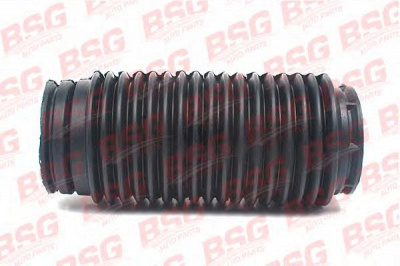 BSG bsg30705046 -  