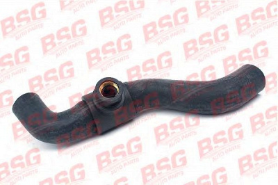 BSG bsg30720031 -