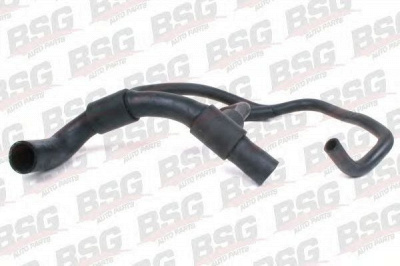 BSG bsg30720033 -
