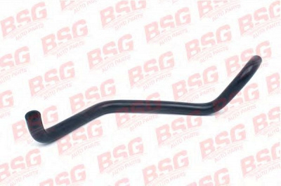 BSG bsg30720037 -  