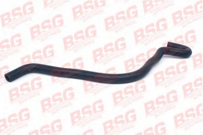 BSG bsg30720038 -  