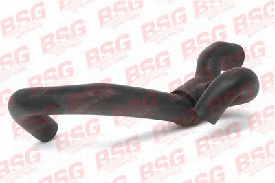 BSG bsg30720041 -
