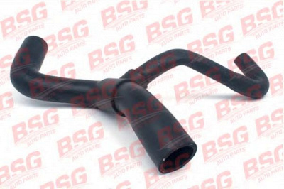 BSG bsg30720058 -
