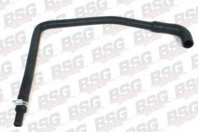 BSG bsg30720060 -