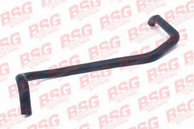 BSG bsg30720061 -