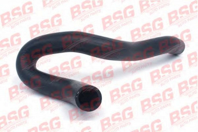 BSG bsg30720101 -