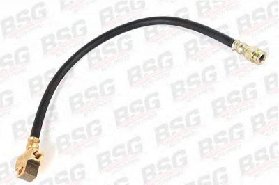 BSG bsg30730006 -  