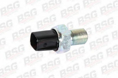 BSG bsg30840008 -