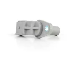 BSG bsg30840024 -  