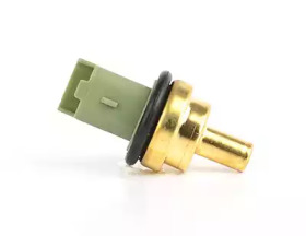 BSG bsg30840029 -