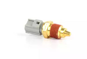 BSG bsg30840031 -  