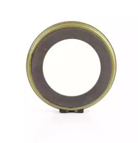 BSG bsg30840038 -