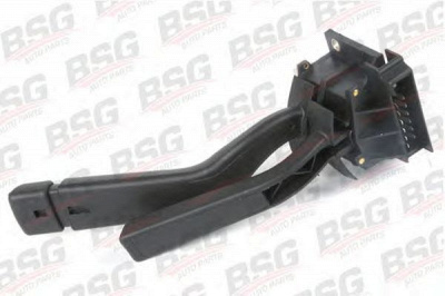 BSG bsg30855002 -