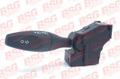 BSG bsg30855003 -
