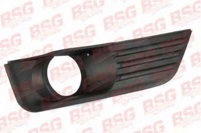 BSG bsg30921001 -