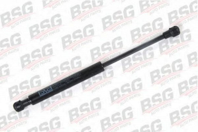 BSG bsg30980001 -  
