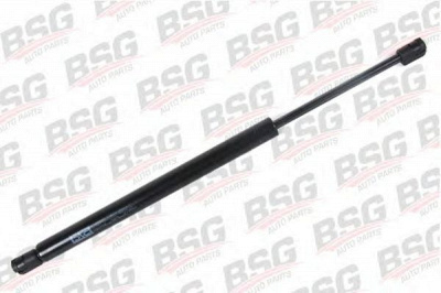 BSG bsg30980002 -  