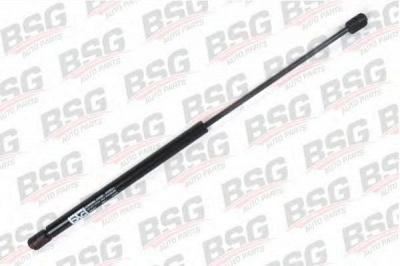 BSG bsg30980003 -