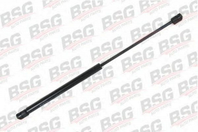 BSG bsg30980004 -