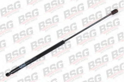 BSG bsg30980006 -