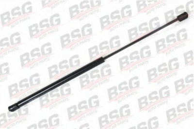 BSG bsg30980007 -  