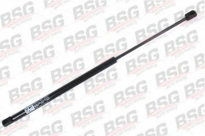 BSG bsg30980008 -
