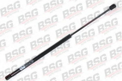 BSG bsg30980010 -