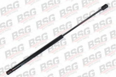 BSG bsg30980012 -