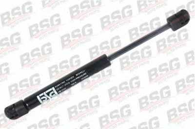 BSG bsg30980014 -  
