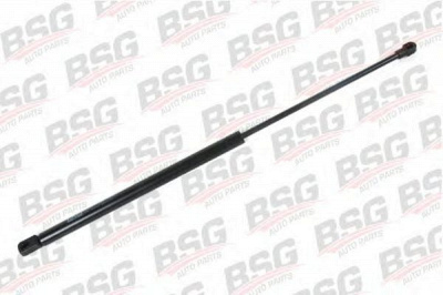 BSG bsg30980015 -  