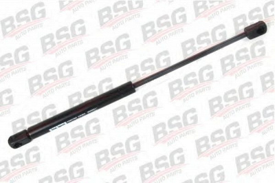 BSG bsg30980017 -
