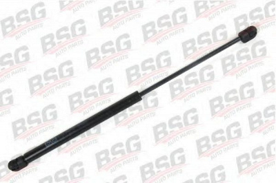 BSG bsg30980018 -